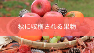 【秋に収穫できる果物一覧】食べ方、保存について