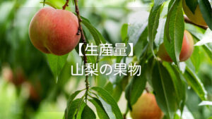 【海外でも人気】山梨の生産量1位の果物や果樹栽培が盛んな理由