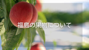 福島県の果物を楽しむためのおすすめの購入方法やポイント