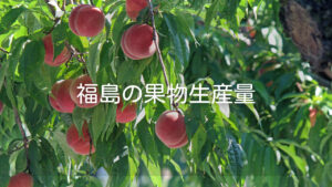 【福島で生産量が多い果物】ランキング1位や生産量の推移も紹介