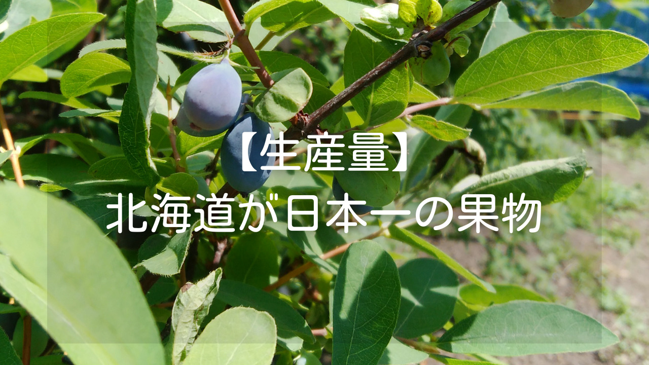 北海道 生産量 日本一 果物