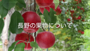 【長野県が名産の果物】旬の時期やおすすめ果物狩りスポットも