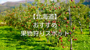 【おでかけに便利】北海道でおすすめの果物狩りスポット１０選