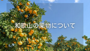 和歌山県の名産果物について-珍しい特産フルーツもご紹介