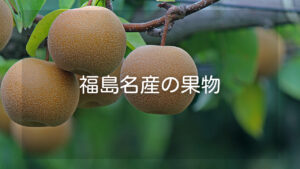 【季節別】福島県名産の果物や生産量日本一の珍しい果物をご紹介