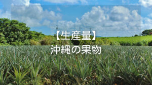 【沖縄の果物生産量ランキング】多い理由や沖縄の果物事情など