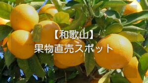 和歌山の果物を直売所で購入しよう-メリットや購入できる果物