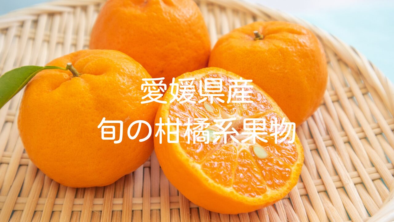 【旬を味わおう】季節ごとでみる愛媛県産の旬の柑橘系果物