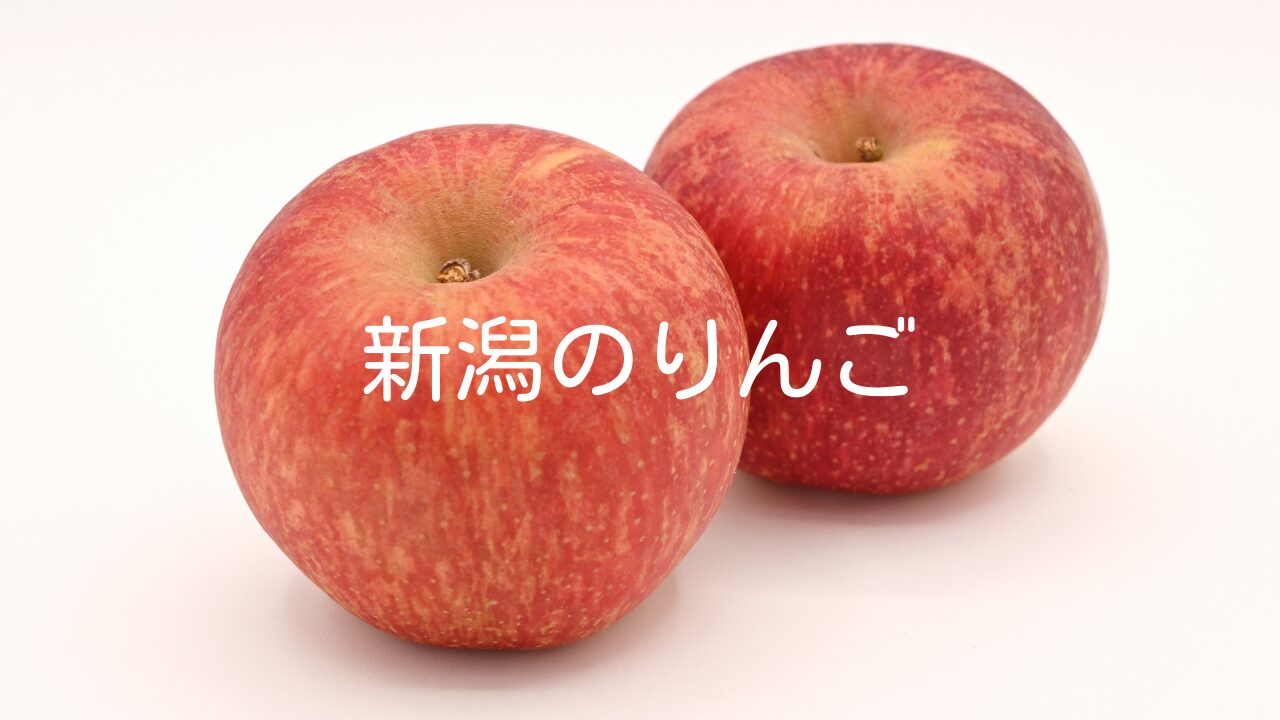 新潟のりんごの特徴や品種、購入できる場所