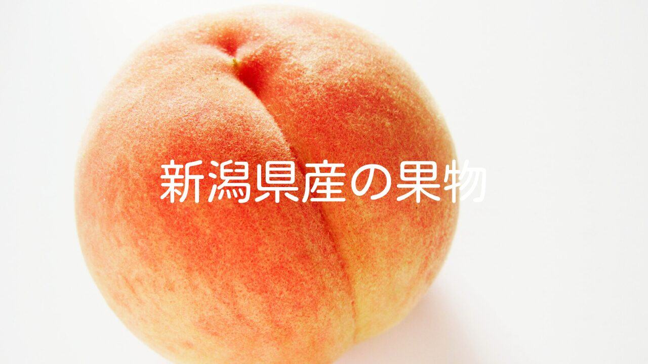 新潟県産の果物−りんご・桃の品種やおすすめの果物狩りと直売所