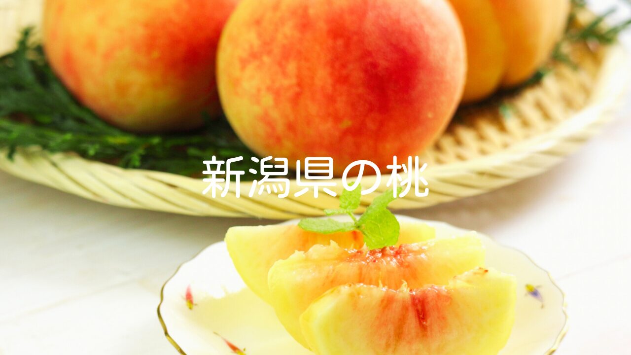 新潟県の桃を楽しむ｜新潟で味わえる桃の品種とおすすめスポット