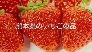 【熊本県のいちごの品種】いちごの特徴や生産量について