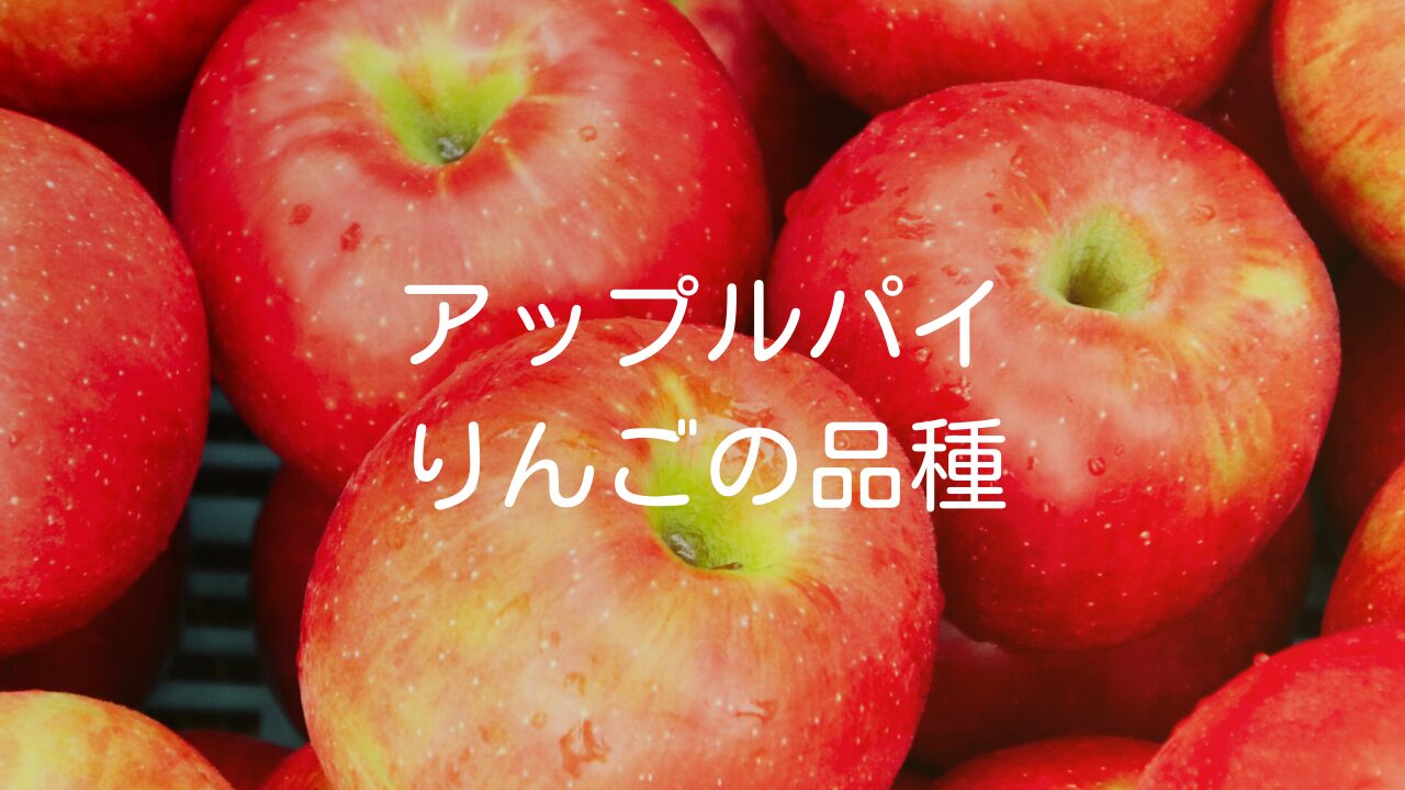 アップルパイにおすすめのりんごの品種と初心者向けレシピ