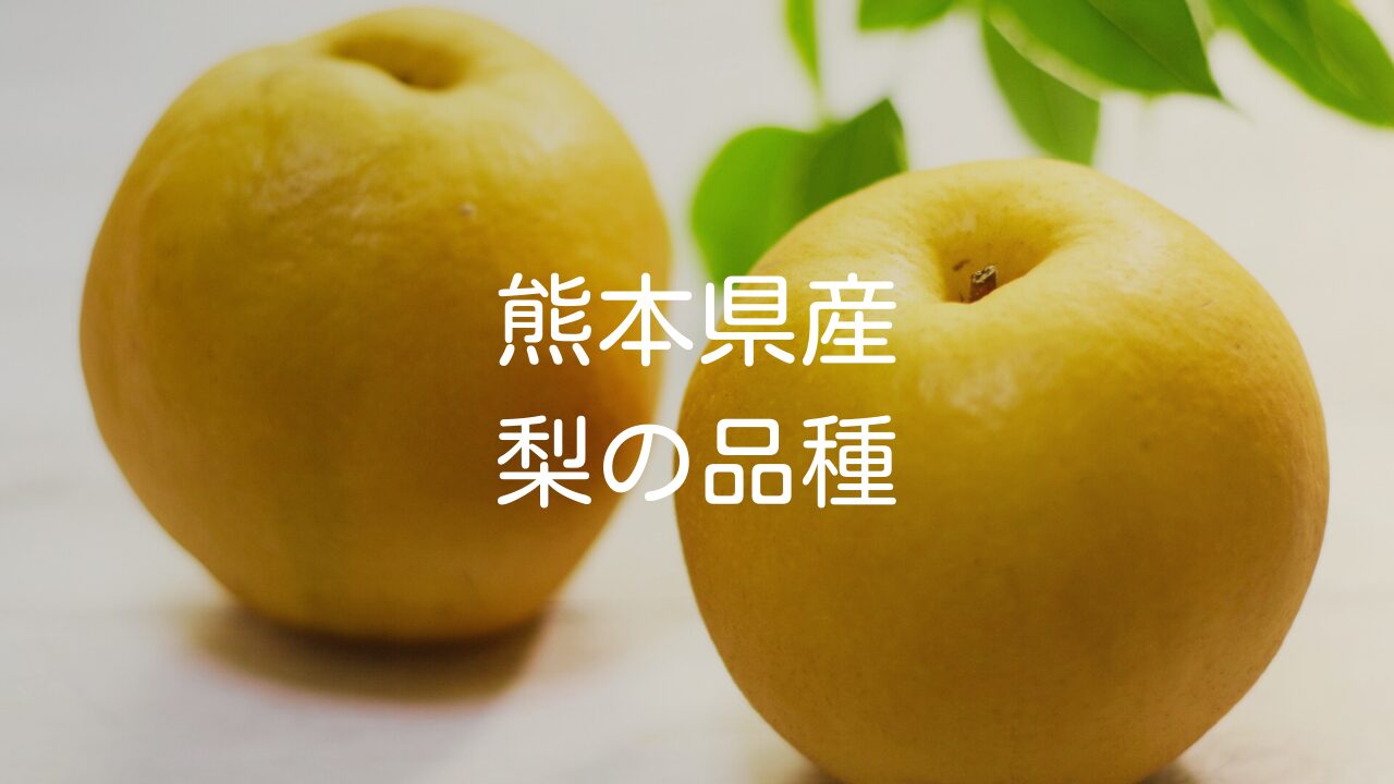 熊本県で栽培されている主な梨の品種や生産量、熊本の梨の歴史
